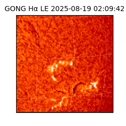 gong - 2025-08-19T02:09:42