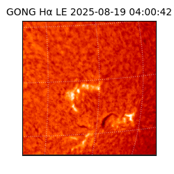 gong - 2025-08-19T04:00:42