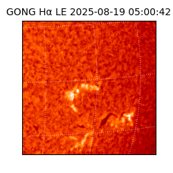 gong - 2025-08-19T05:00:42