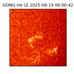 gong - 2025-08-19T06:00:42