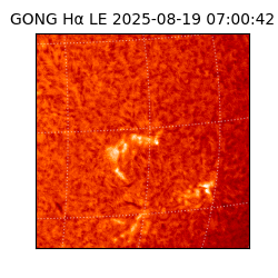 gong - 2025-08-19T07:00:42