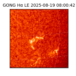 gong - 2025-08-19T08:00:42