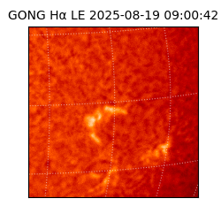 gong - 2025-08-19T09:00:42