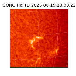 gong - 2025-08-19T10:00:22