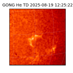 gong - 2025-08-19T12:25:22