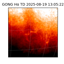 gong - 2025-08-19T13:05:22
