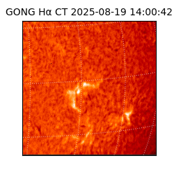 gong - 2025-08-19T14:00:42