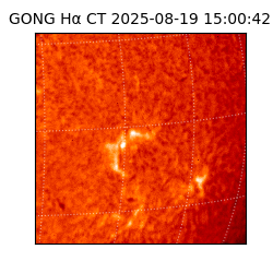 gong - 2025-08-19T15:00:42