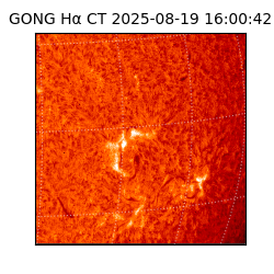 gong - 2025-08-19T16:00:42