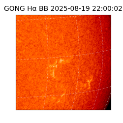 gong - 2025-08-19T22:00:02