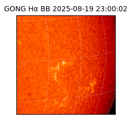 gong - 2025-08-19T23:00:02