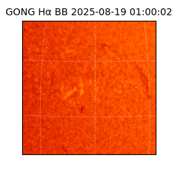 gong - 2025-08-19T01:00:02