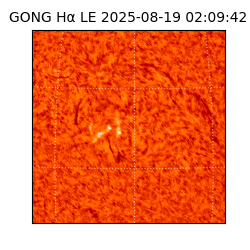 gong - 2025-08-19T02:09:42