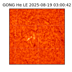gong - 2025-08-19T03:00:42