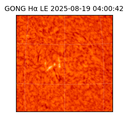 gong - 2025-08-19T04:00:42