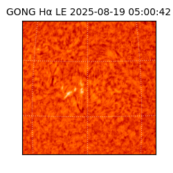 gong - 2025-08-19T05:00:42