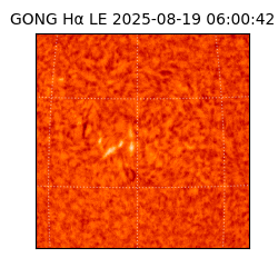 gong - 2025-08-19T06:00:42