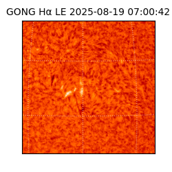 gong - 2025-08-19T07:00:42