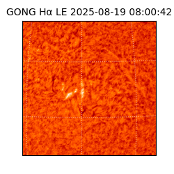 gong - 2025-08-19T08:00:42