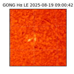 gong - 2025-08-19T09:00:42