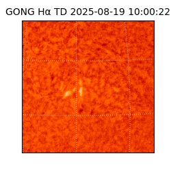 gong - 2025-08-19T10:00:22