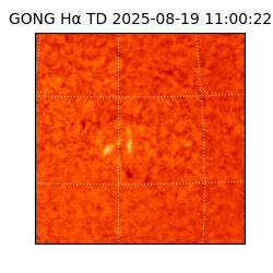 gong - 2025-08-19T11:00:22