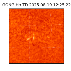 gong - 2025-08-19T12:25:22