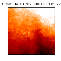 gong - 2025-08-19T13:05:22