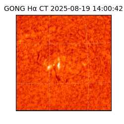 gong - 2025-08-19T14:00:42