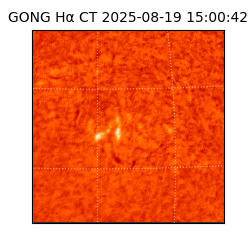 gong - 2025-08-19T15:00:42
