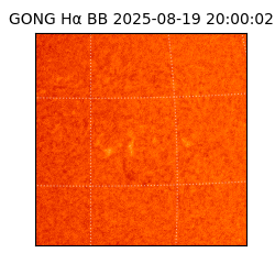 gong - 2025-08-19T20:00:02