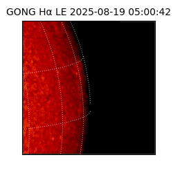 gong - 2025-08-19T05:00:42