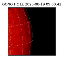 gong - 2025-08-19T09:00:42