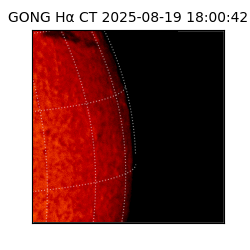 gong - 2025-08-19T18:00:42