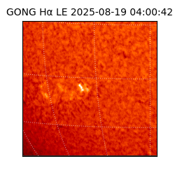 gong - 2025-08-19T04:00:42