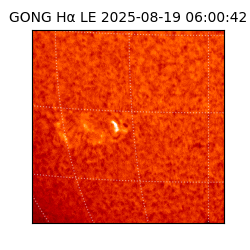 gong - 2025-08-19T06:00:42