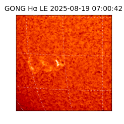 gong - 2025-08-19T07:00:42