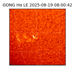gong - 2025-08-19T08:00:42