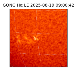 gong - 2025-08-19T09:00:42