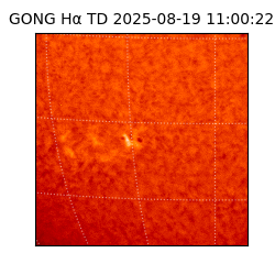 gong - 2025-08-19T11:00:22