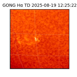 gong - 2025-08-19T12:25:22