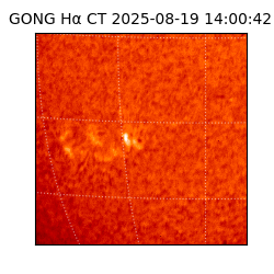 gong - 2025-08-19T14:00:42