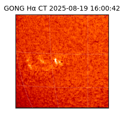 gong - 2025-08-19T16:00:42