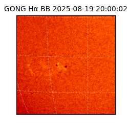 gong - 2025-08-19T20:00:02