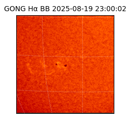 gong - 2025-08-19T23:00:02