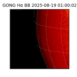gong - 2025-08-19T01:00:02