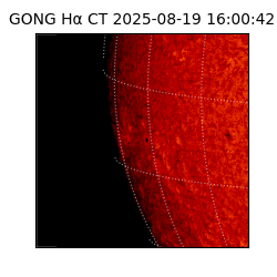 gong - 2025-08-19T16:00:42