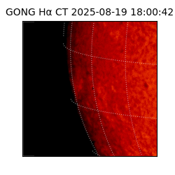 gong - 2025-08-19T18:00:42