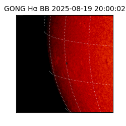 gong - 2025-08-19T20:00:02