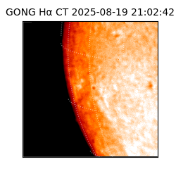 gong - 2025-08-19T21:02:42